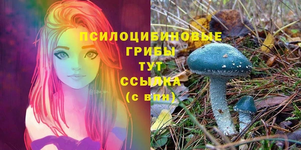 соль ск Белокуриха