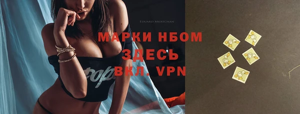 молекула духа Богородицк