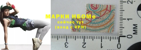 молекула духа Богородицк