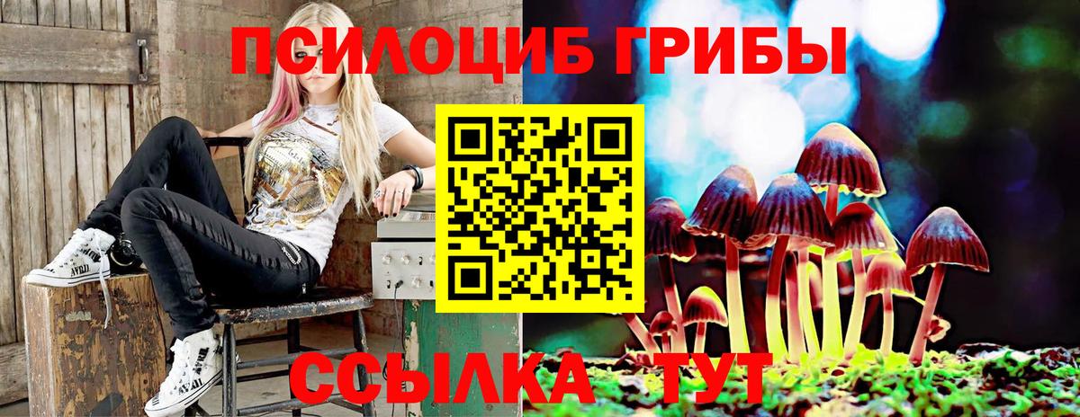 Галлюциногенные грибы Psilocybine cubensis Гай