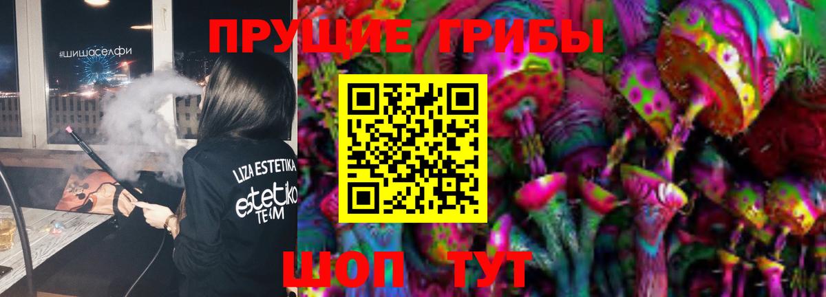 Гай  Псилоцибиновые грибы Psilocybine cubensis  что такое   Вход с VPN 
